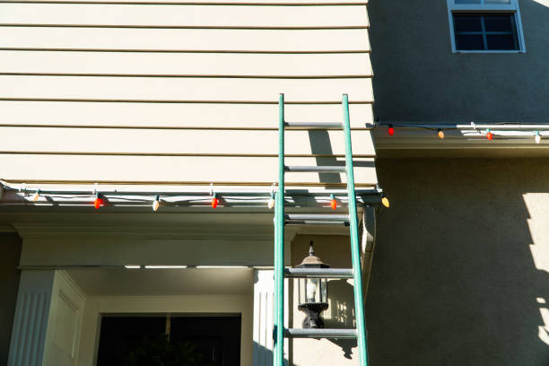 Best Shed Removal  in Tice, FL