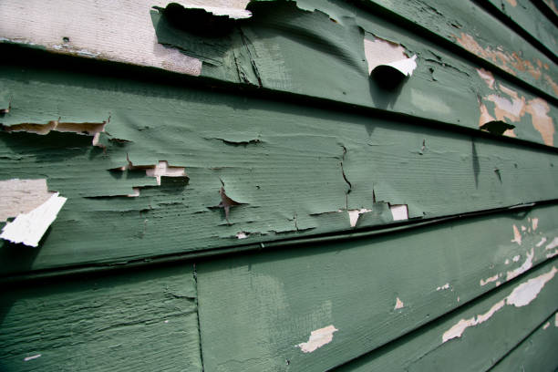 Best Construction Debris Removal  in Tice, FL